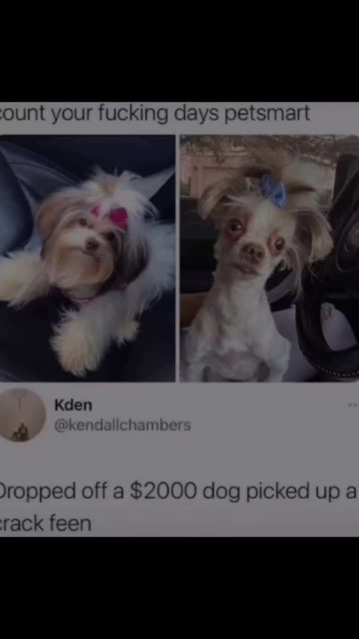 @Definitely high quality memes