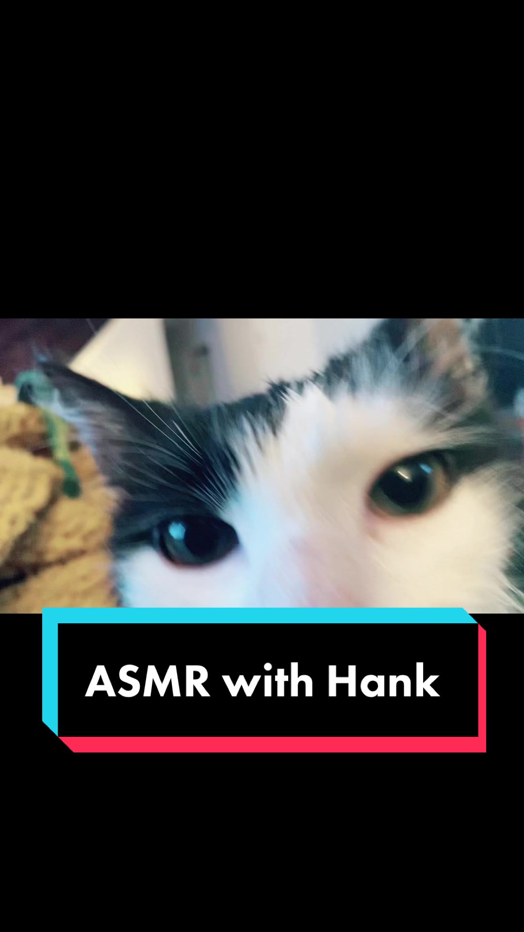 @Tilted_Hank
