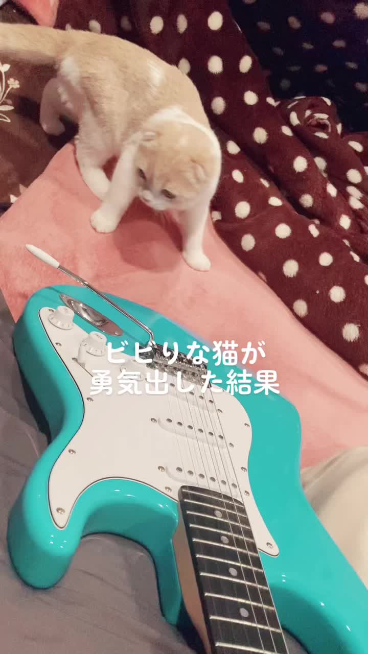 @らるたんと飼い主さん🌈🐾໊