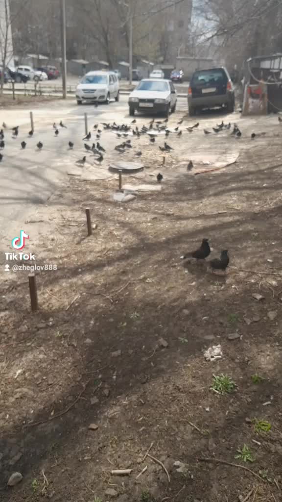 @user8238300531532