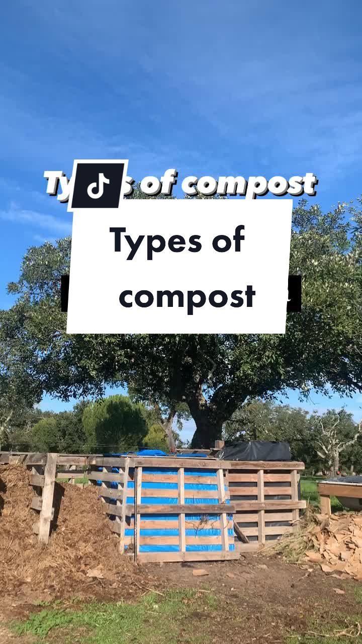 @Purposeflow_living