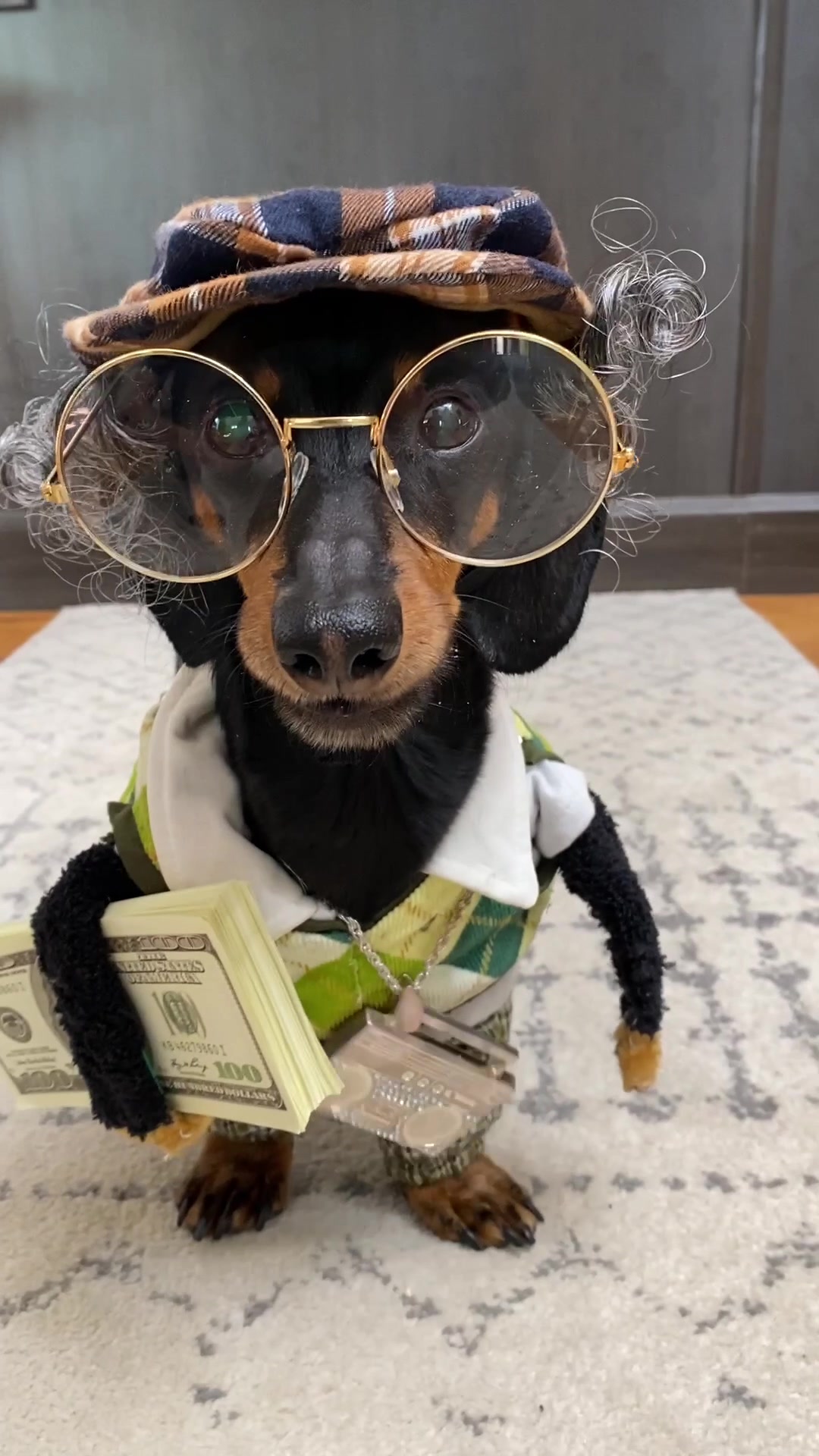 @Crusoe the Dachshund
