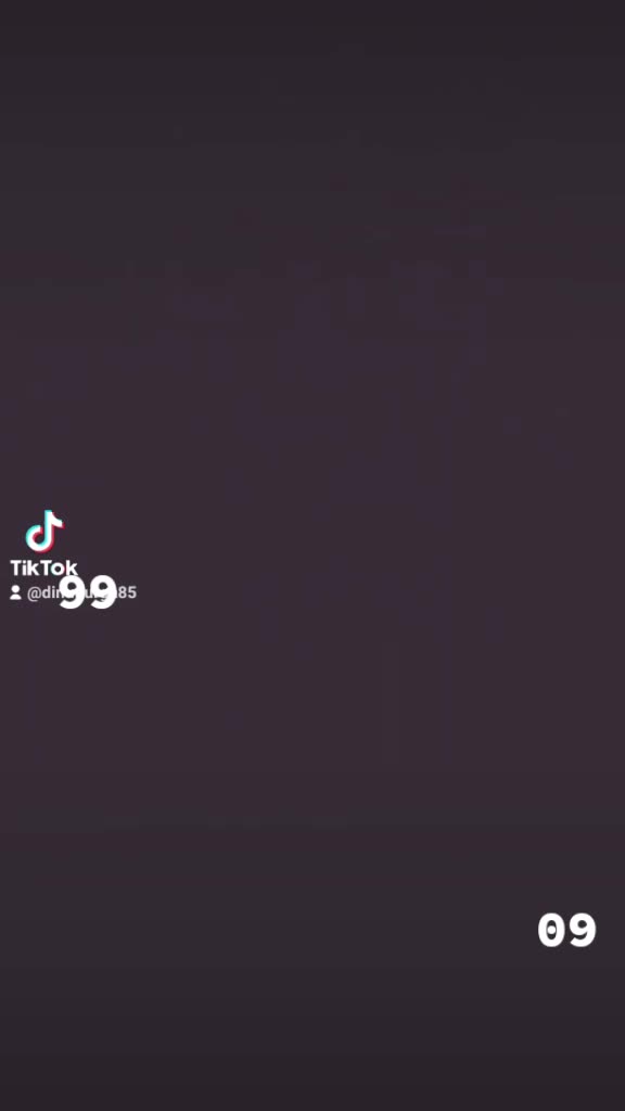 @ꜱʀᴠ〆ᴛɪɢᴇʀ