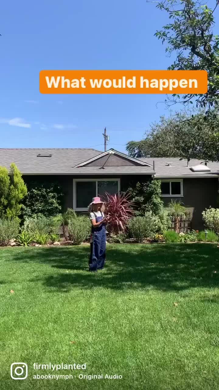 @firmlyplanteddesigns
