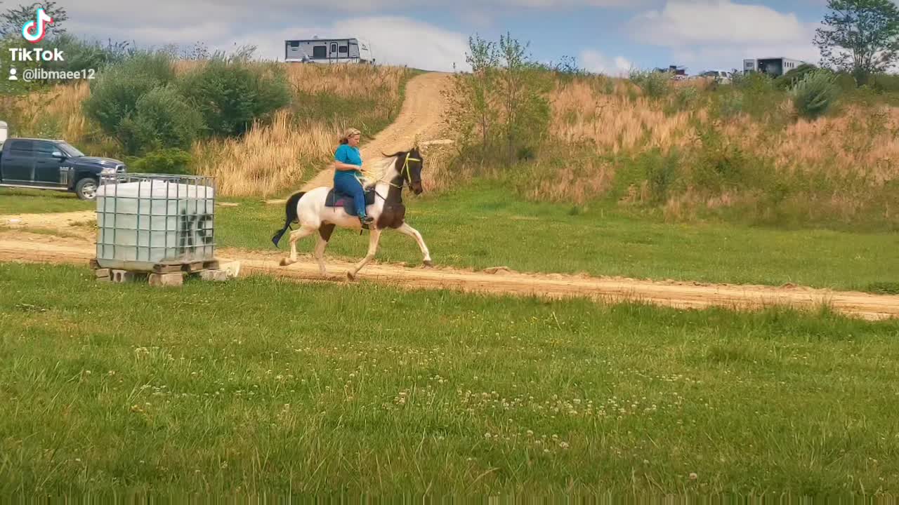 @Libby🐾❤️🐴