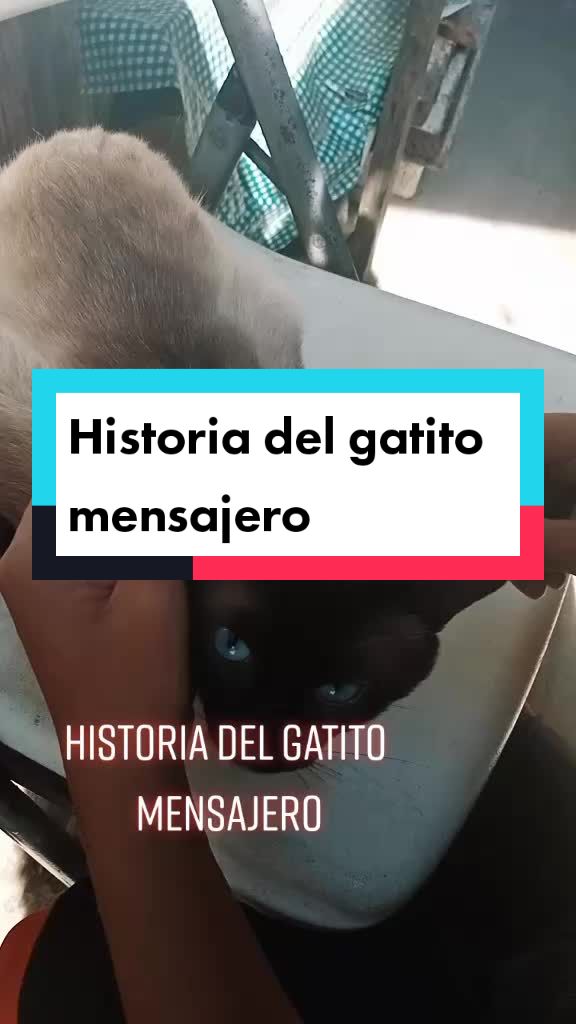 @Kim Motita