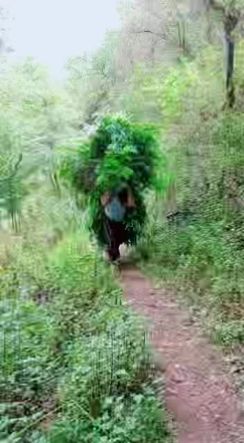 @Sita Shrestha!!