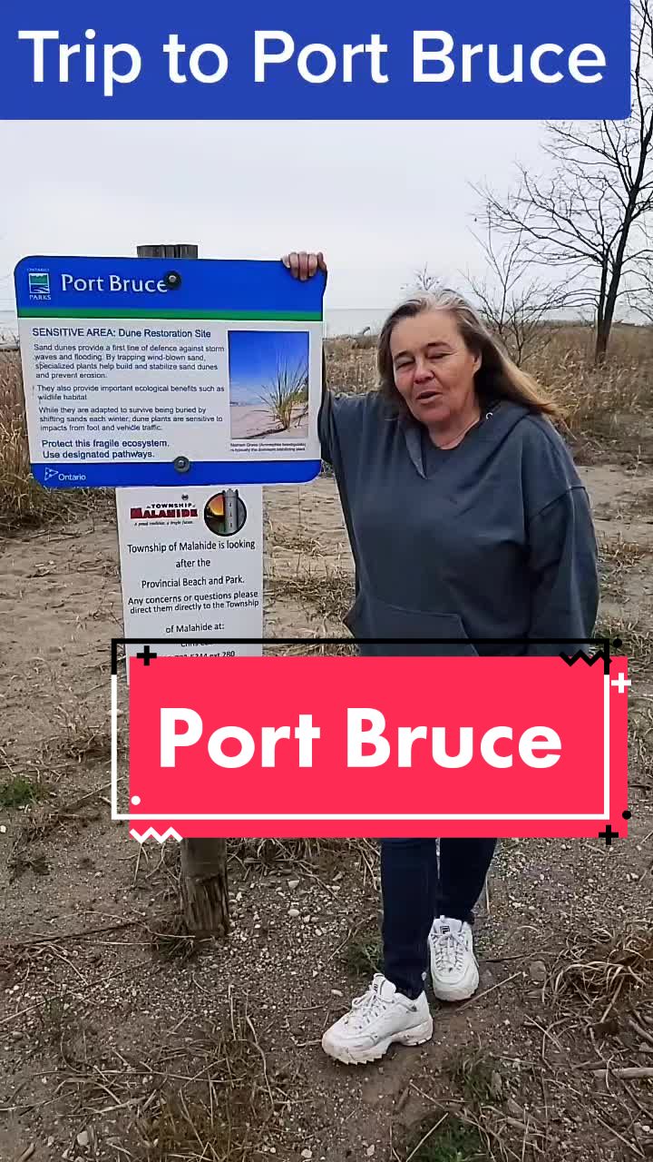 @brigittebelton