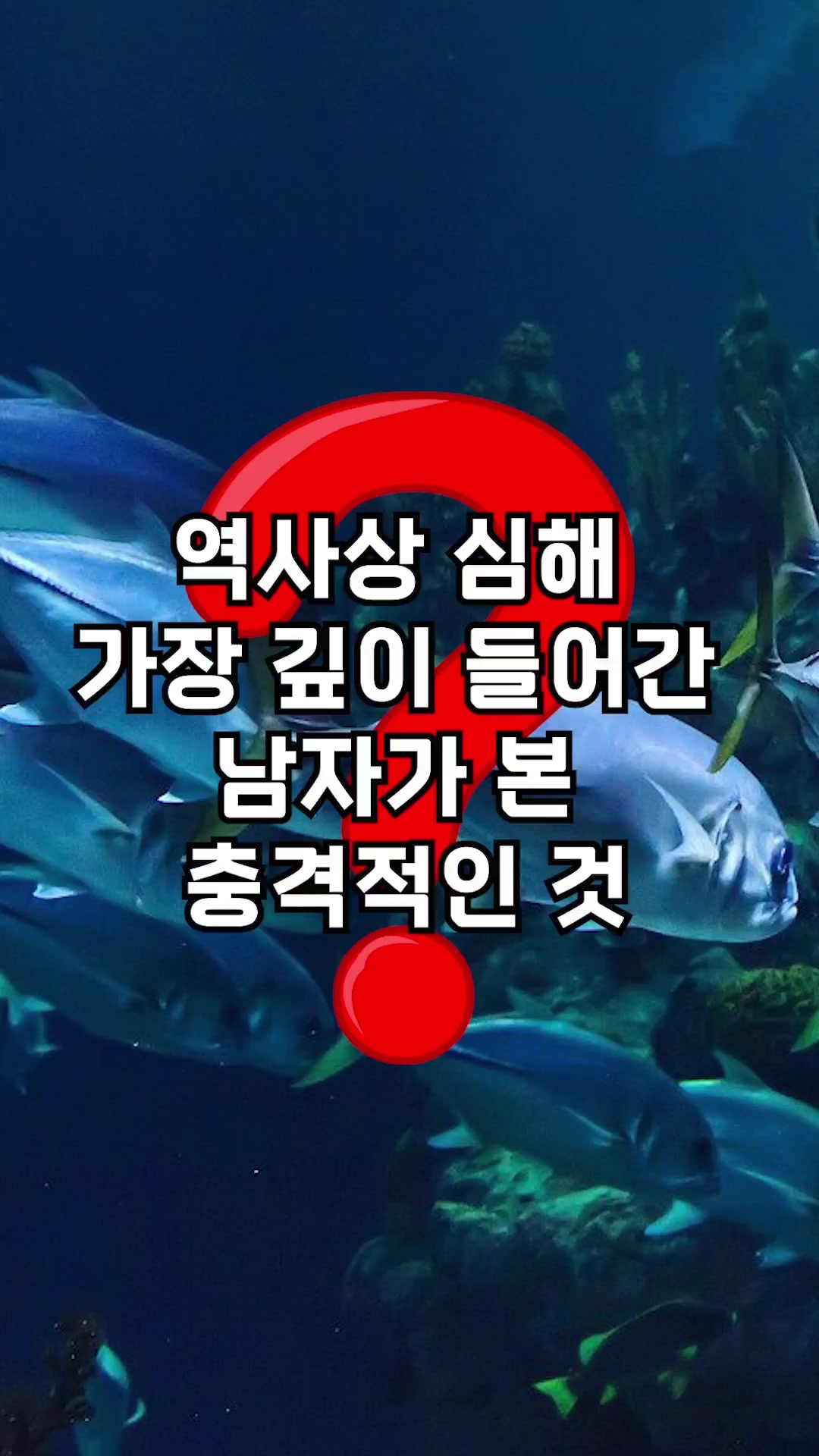 @꿀잼교실