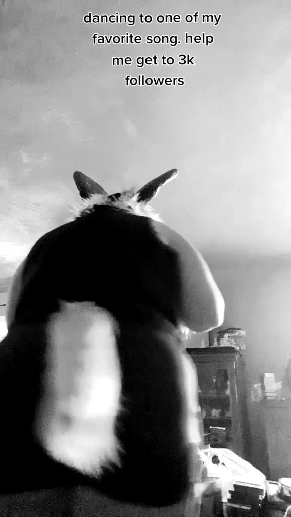 @fluff_ball_furry