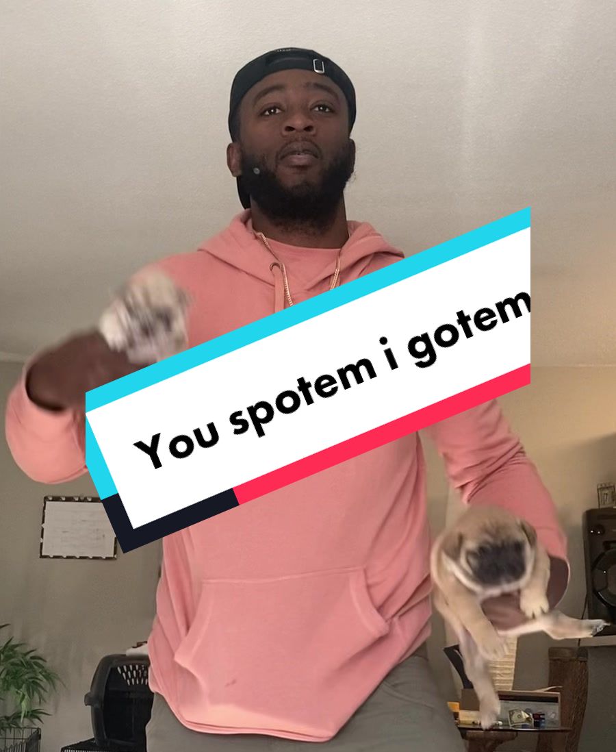 @Snow in Miami Exotiks