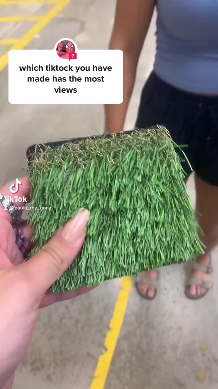 @Paulaaaa