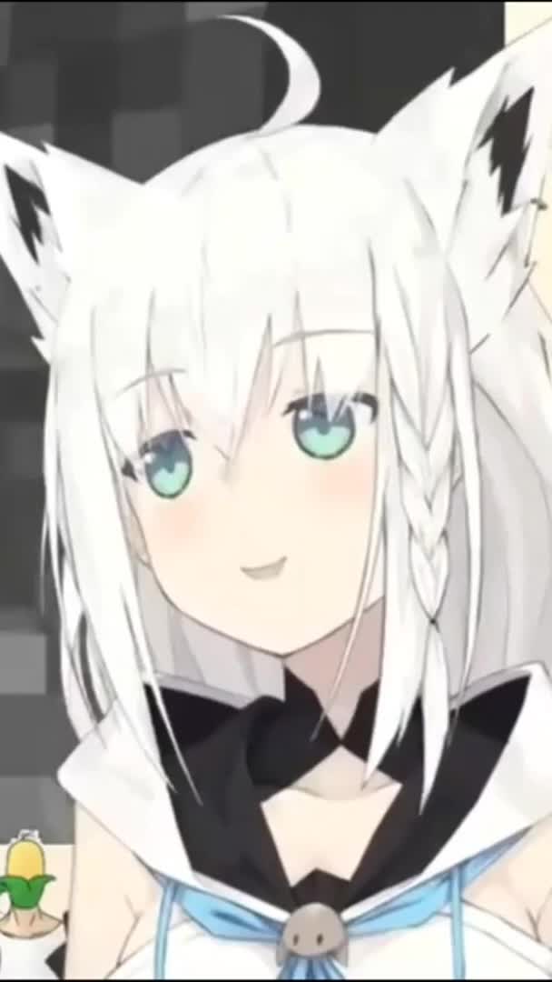 @fubukishirakamifan