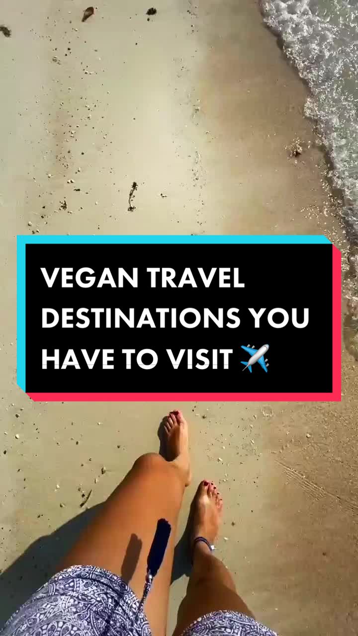 @Evoque Travel Concierge