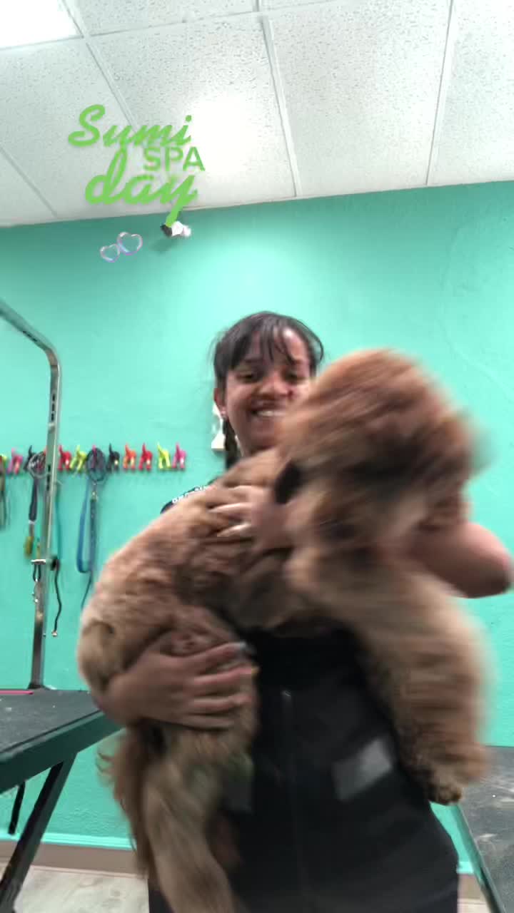 @Sincere Groomer
