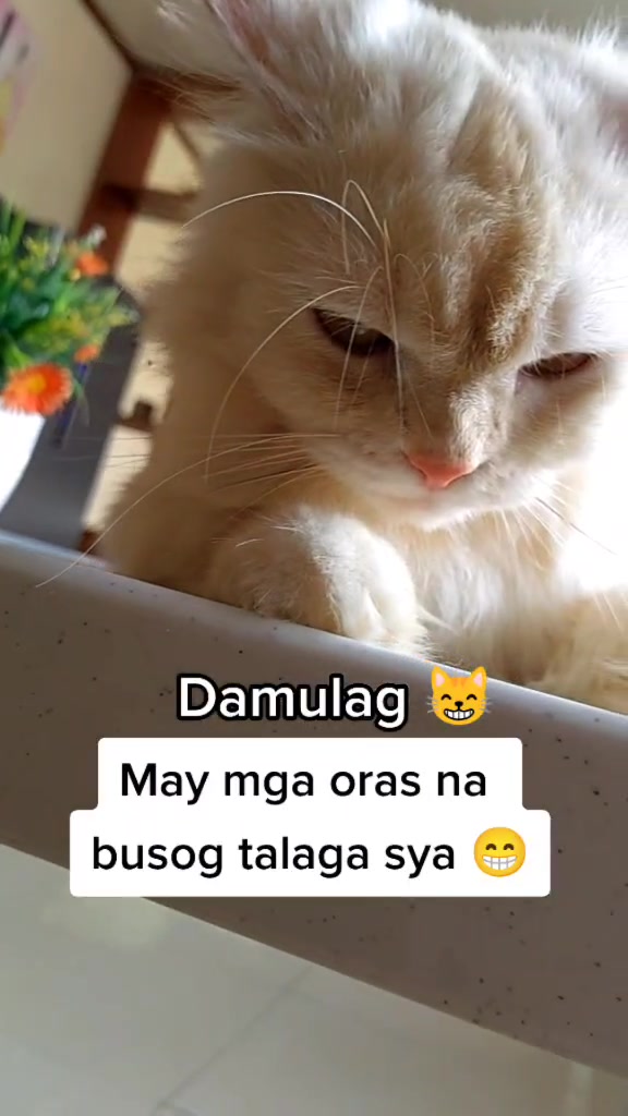@🍀Khai🍀