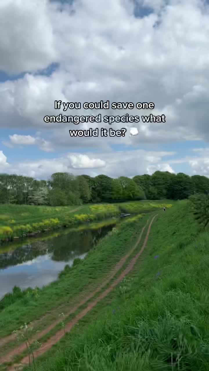 @eeko 🌎🌿