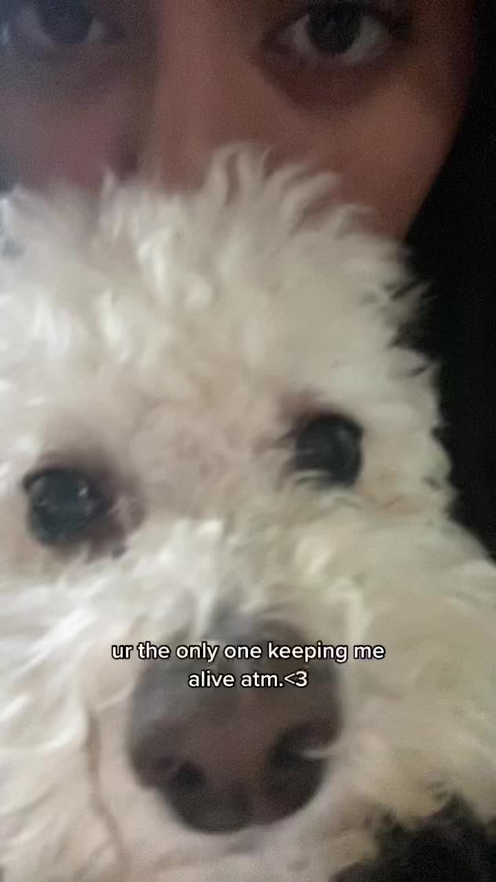 @tasha