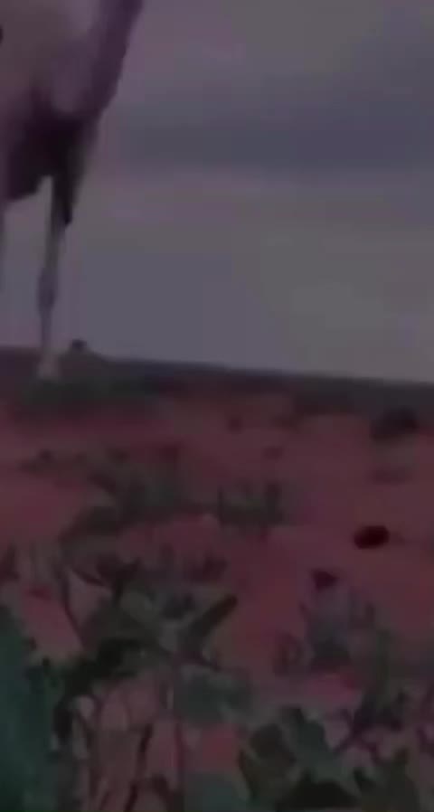 @eooeo_78788