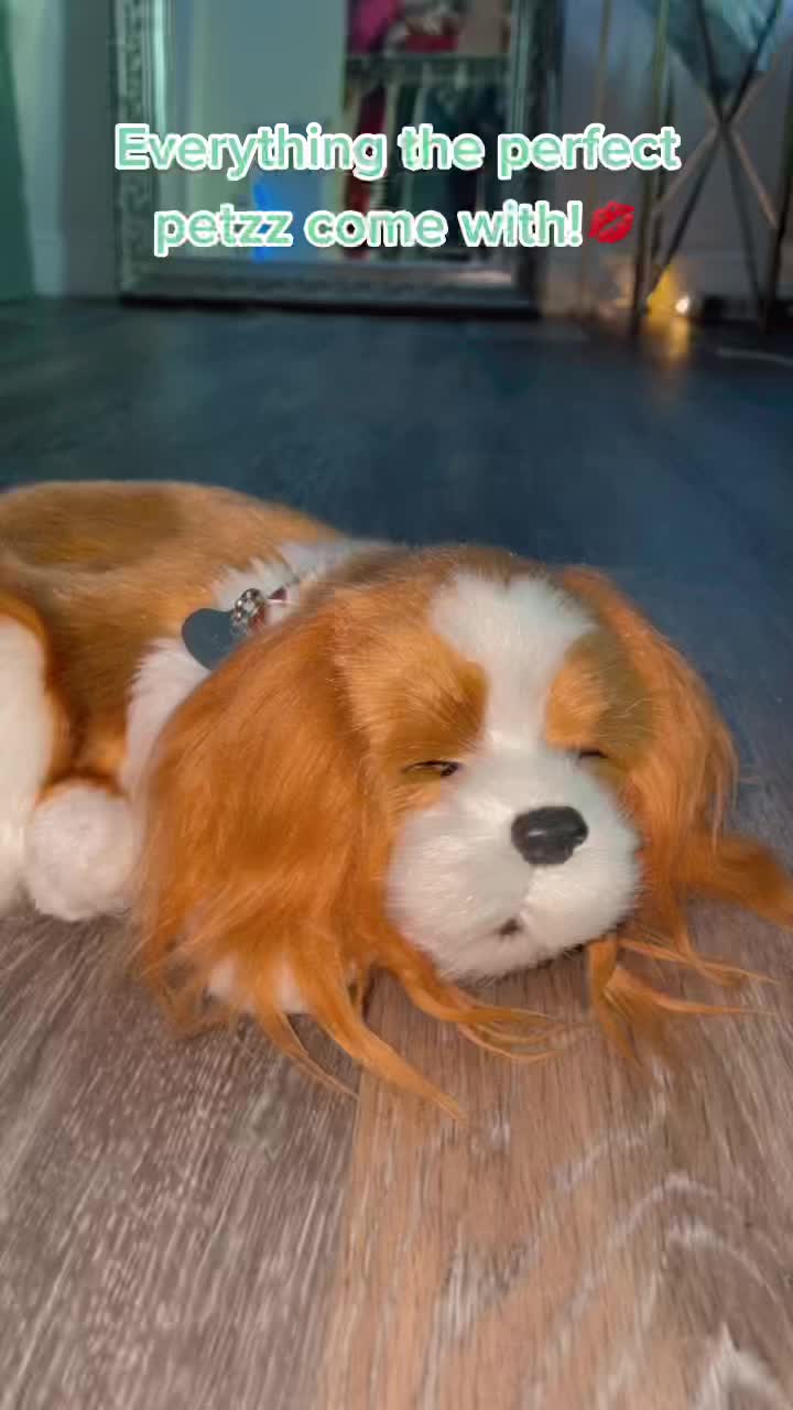 @🍁Maple🍁