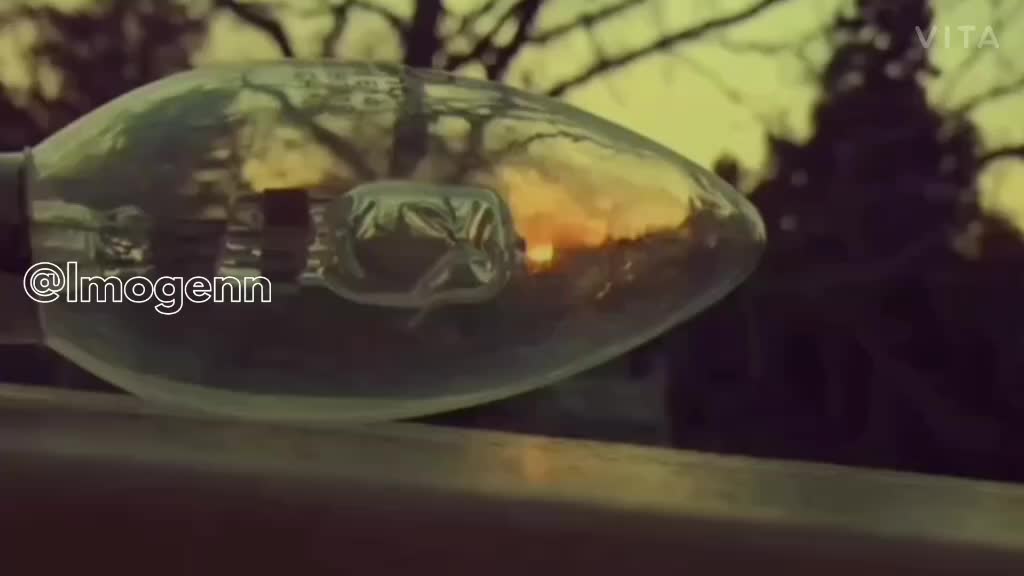 @𝙸𝚖𝚘𝚐𝚎𝚗