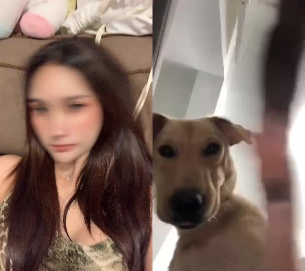 @ยีนเด่นไม่ใช่ยีนด้อย