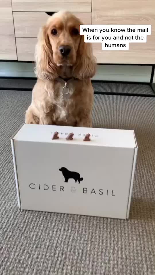 @Cider & Basil Official
