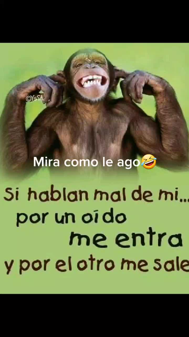 @Maday Gonzalez