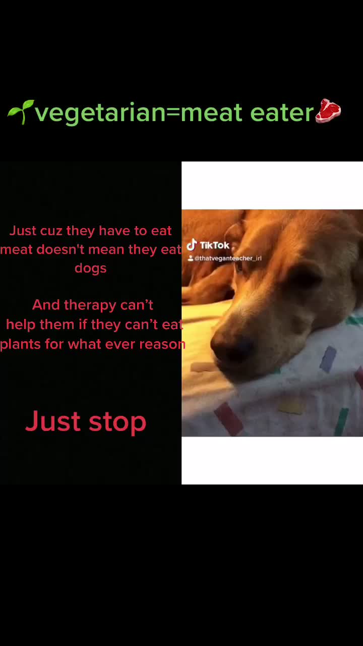 @✨🏳️&zwj;🌈LGBT+🏳️&zwj;🌈✨
