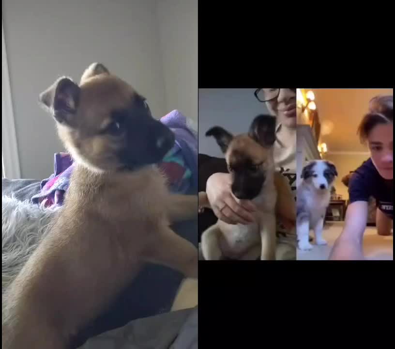 @Brandon B