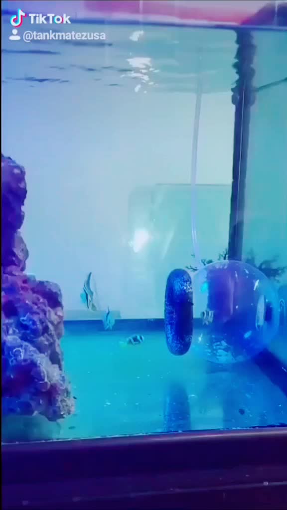 @Tankmatez.com USA