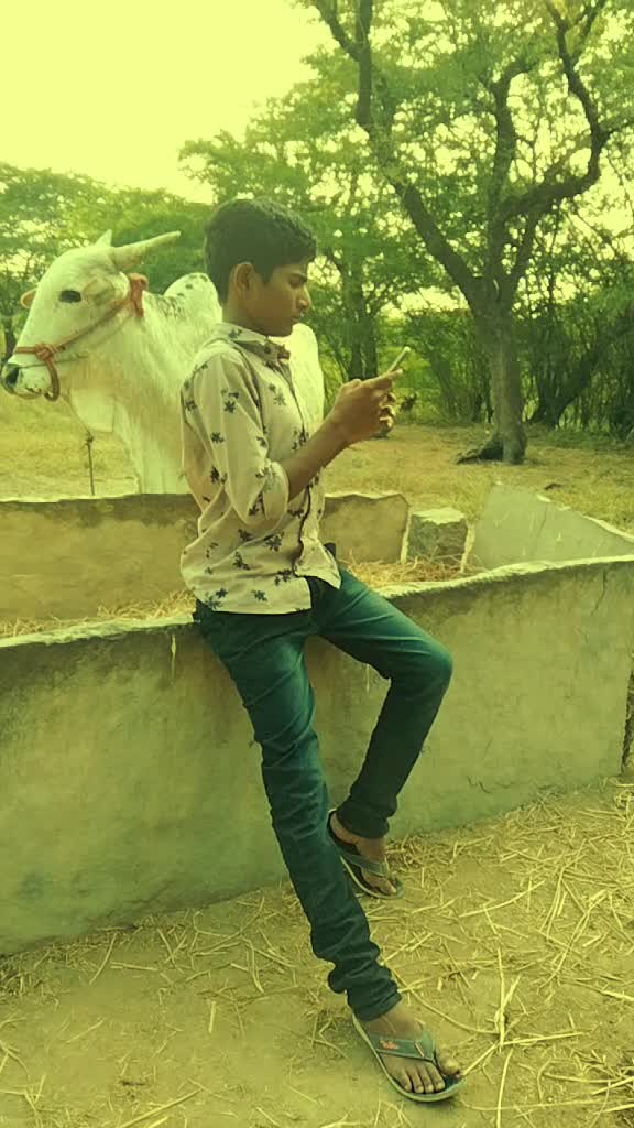 @user2557878230118