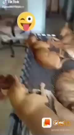 @user7063493293932