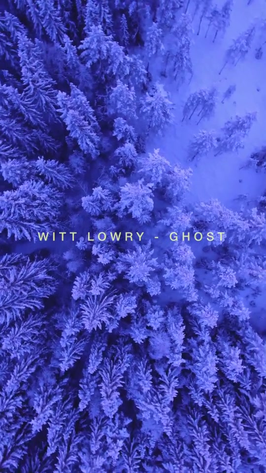 @wittlowry