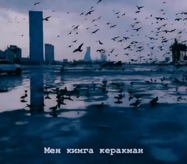 @Saydazimov