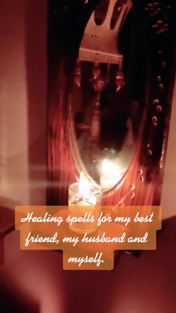 @findingferns