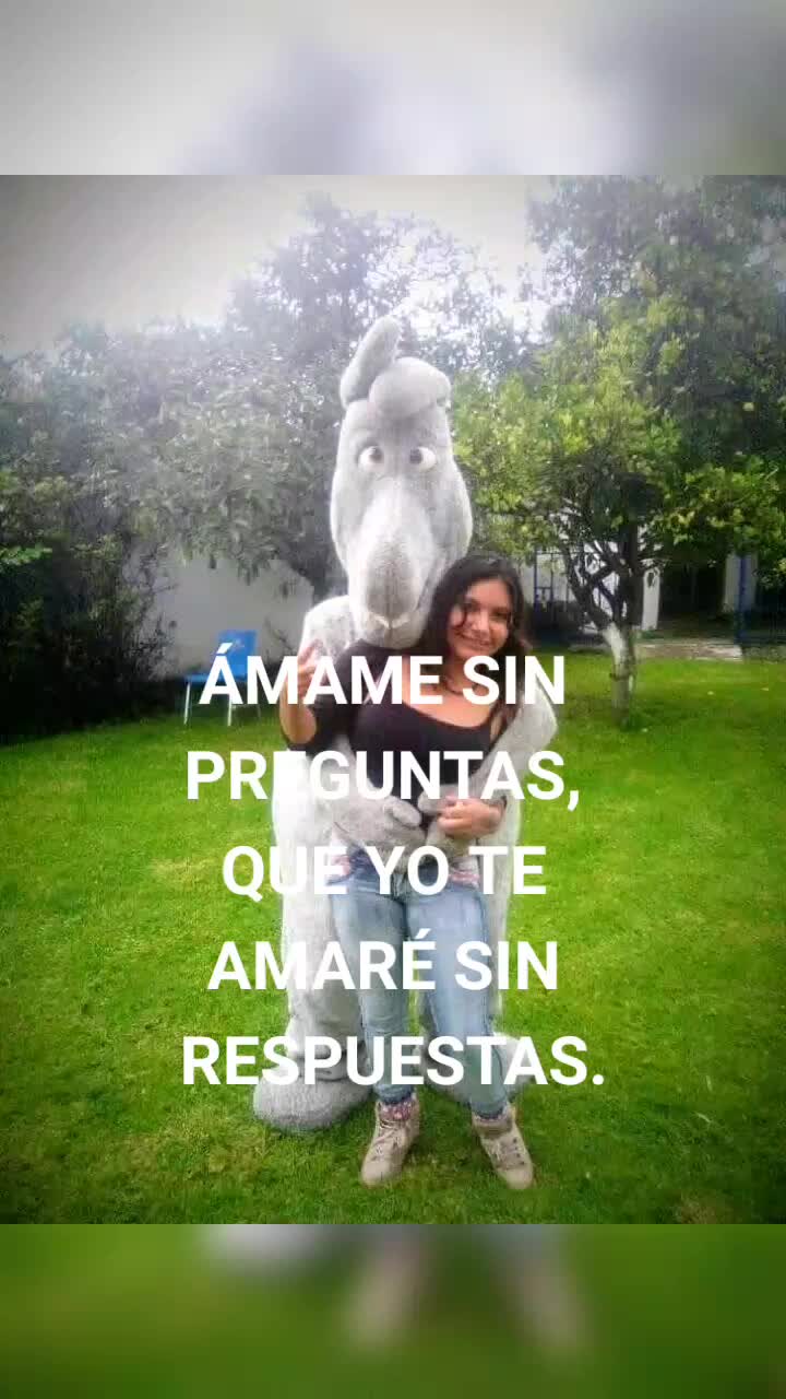 @user6739870561409