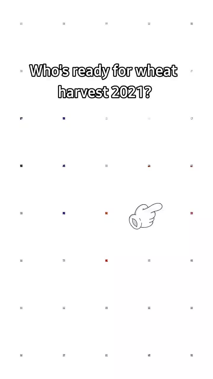 @Ｆａｒｍｉｎｇ Ｔｅｘａｓ