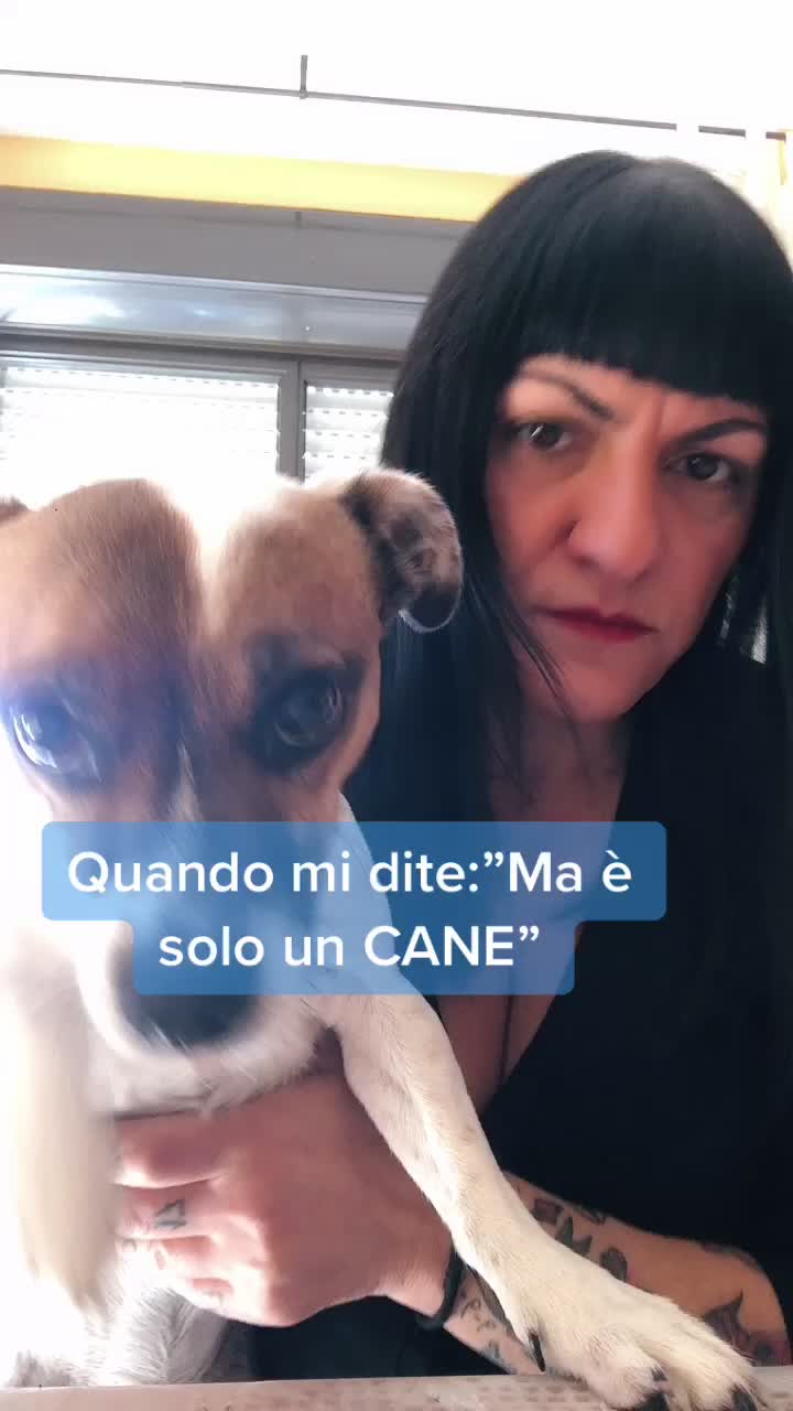 @Tanya Volontaria Animalista