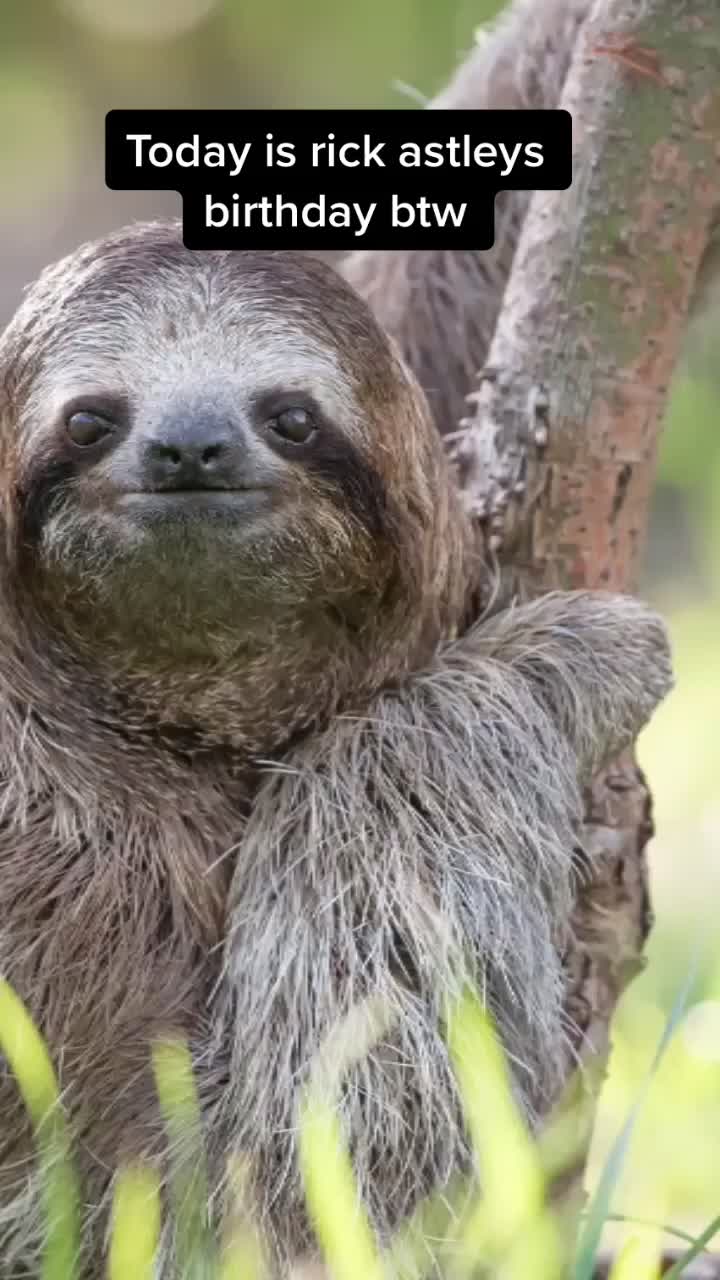@I exist only as sloth.