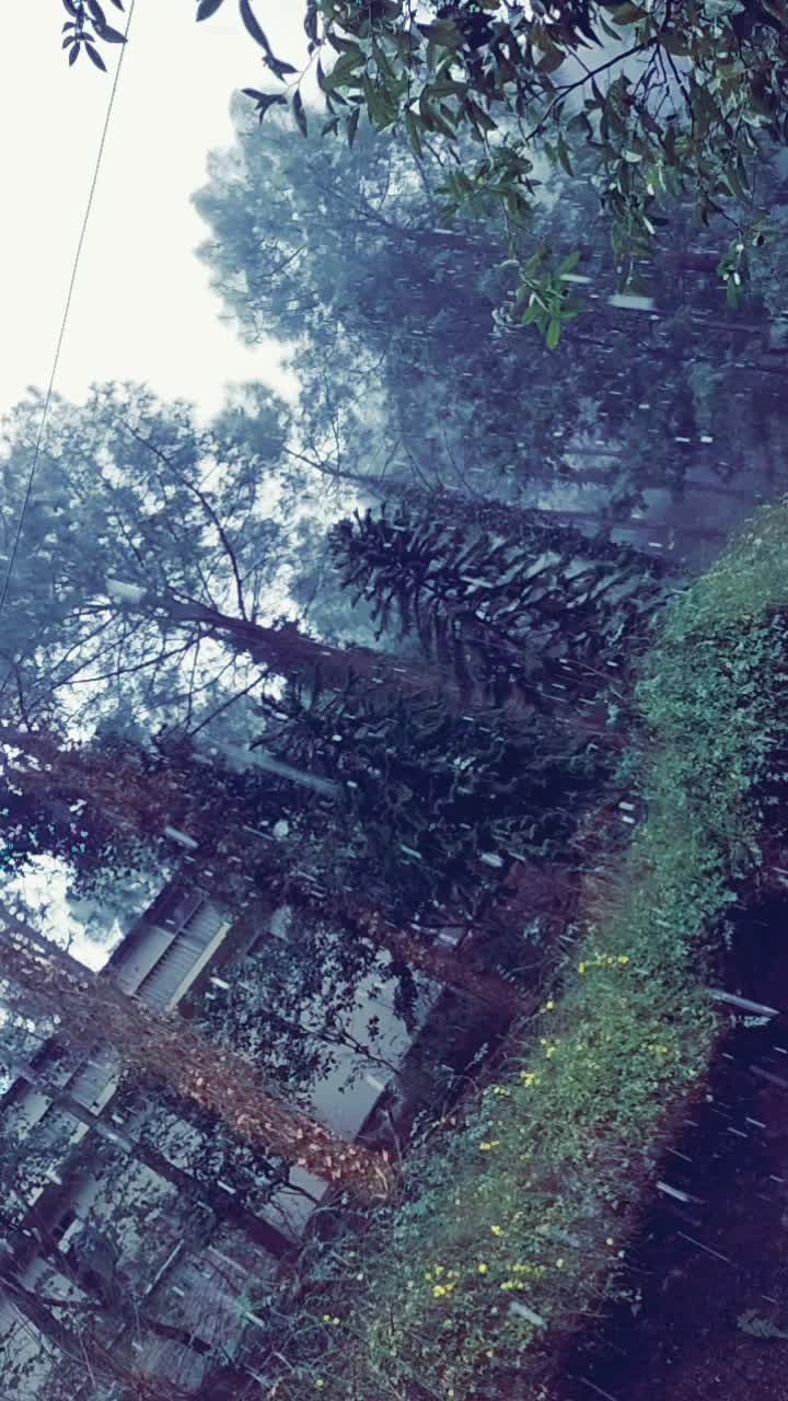 @Shekhar&hearts;️Kinnu