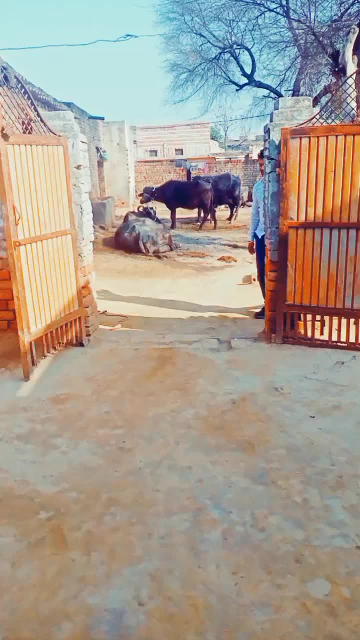@user5073788121858