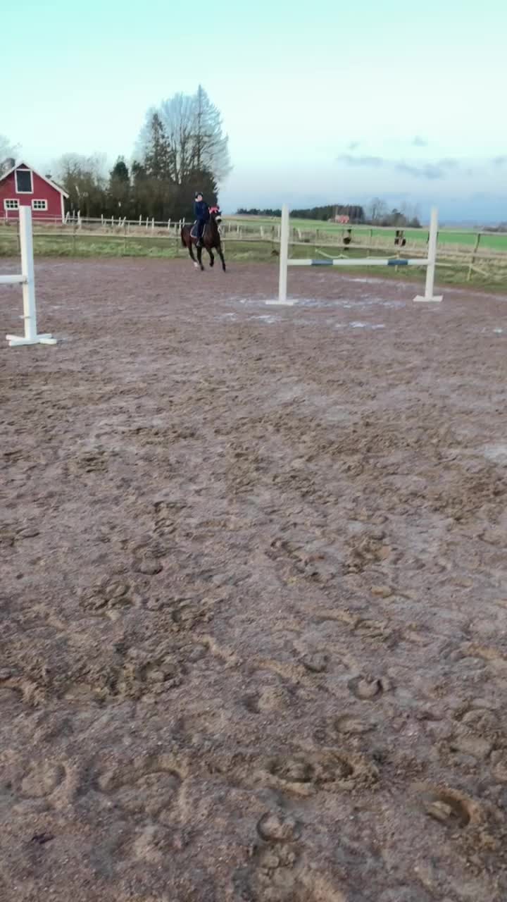@H&auml;stkonto 💓
