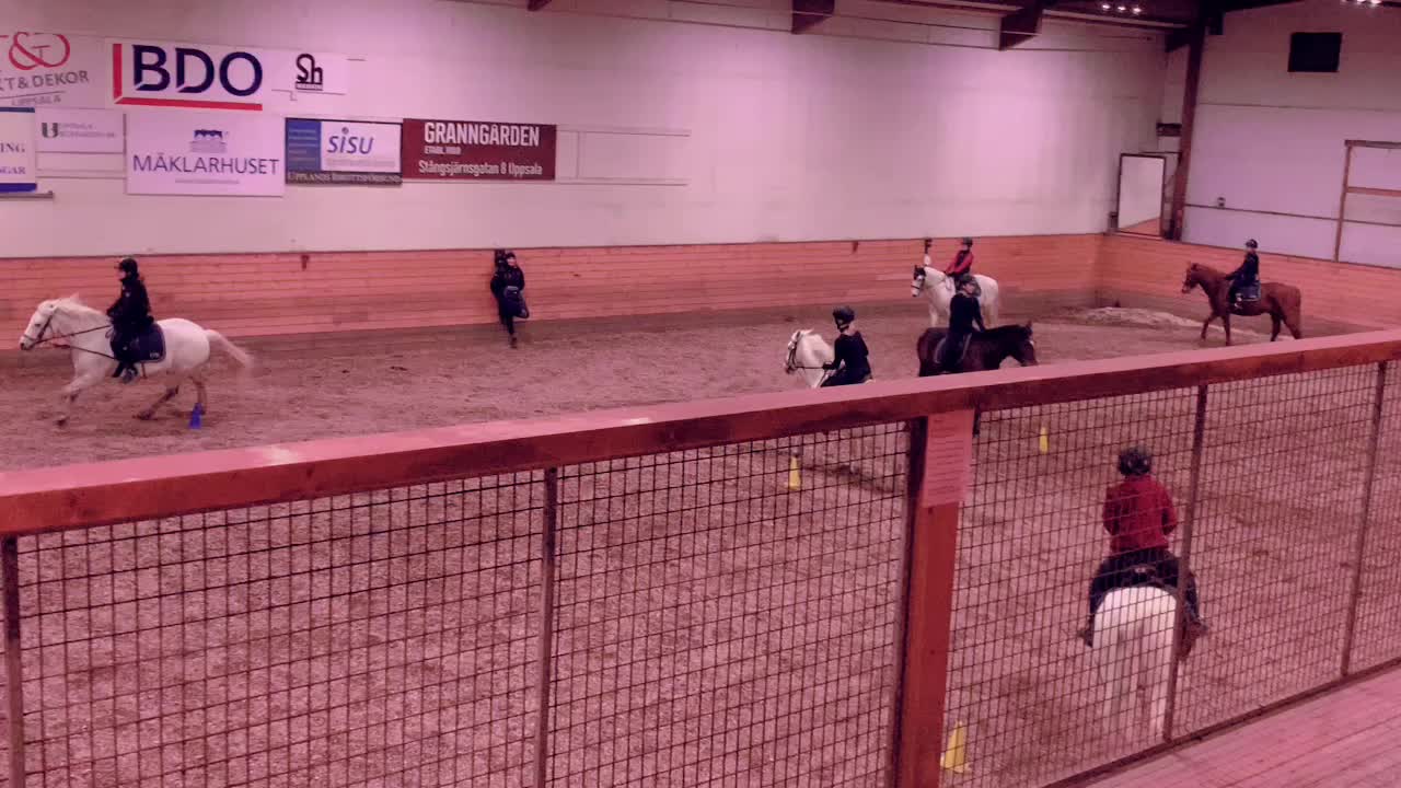 @Horses♡