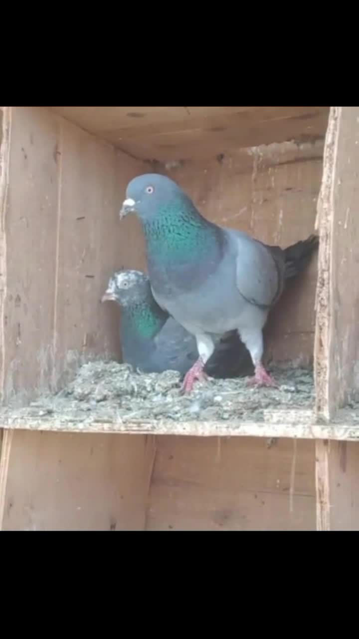 @&Agrave;ķb&aacute;ŕ Ś&ugrave;mŕ&aacute;