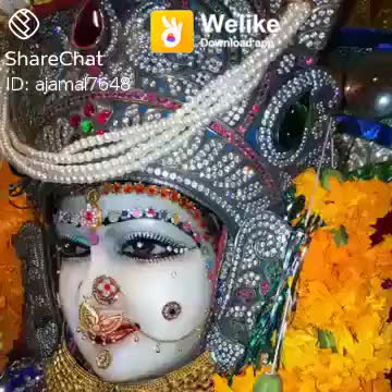 @user7400455841164