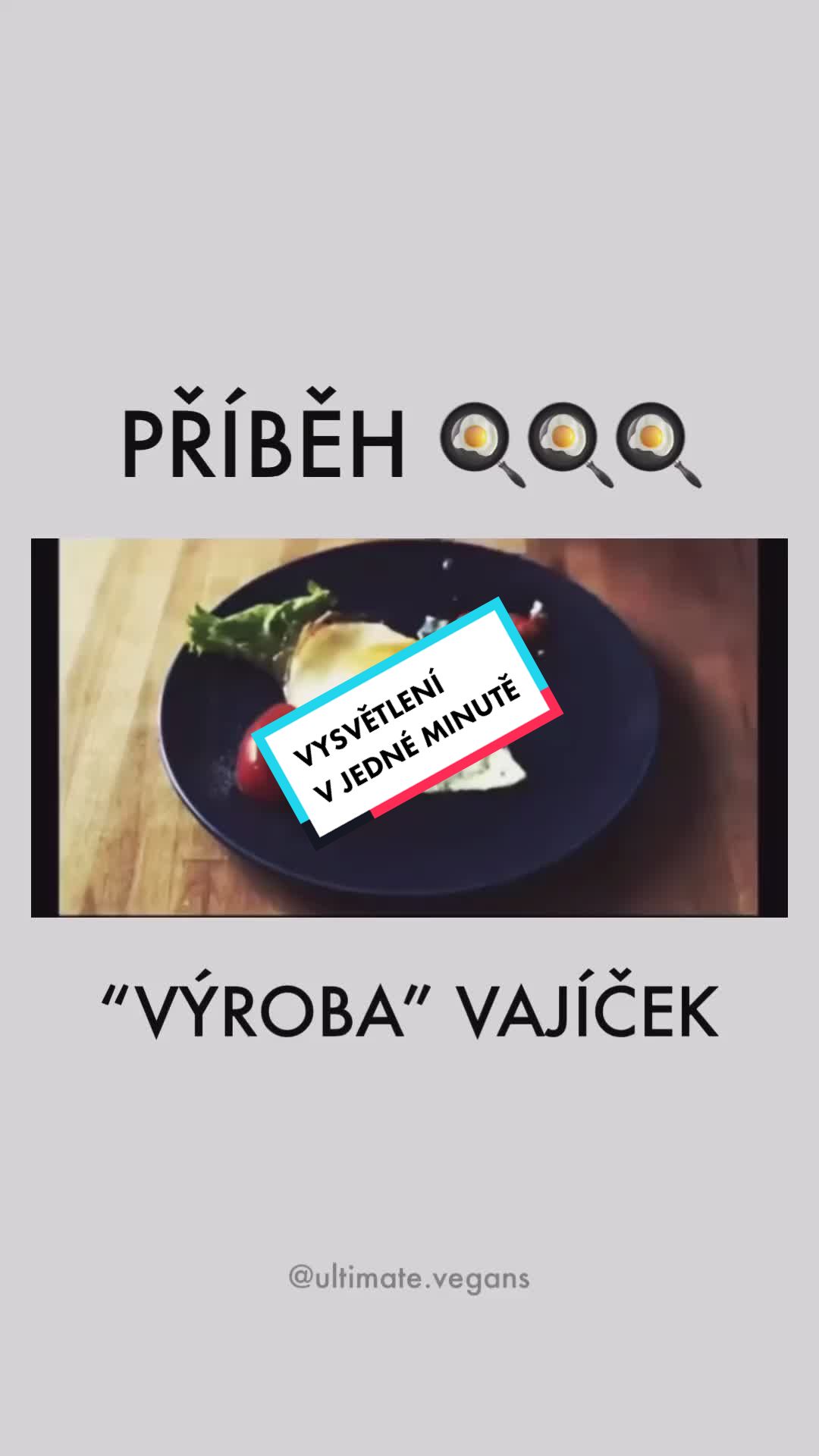 @ULTIMATE.VEGANS