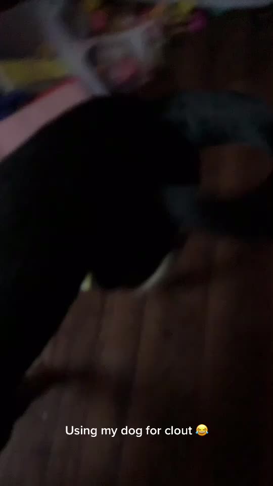 @That1Kid
