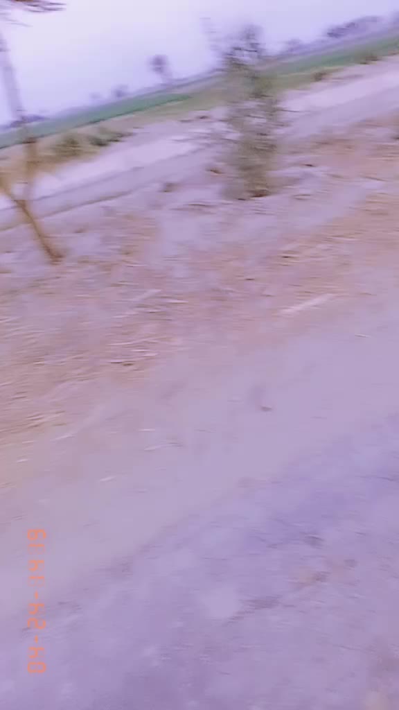 @King 👉💪💪S👈r👊👈 Sahib
