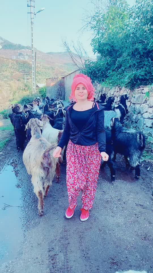 @Aslı Coban